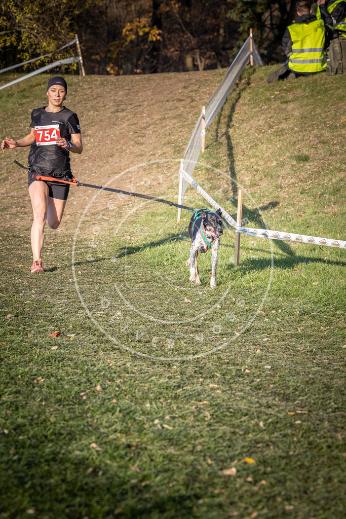 CaniXpix_0L8A9969 | Hundefotografie, Tierfotograf, Pfotenfotografie, Fotoshooting Hund, Hunde Portrait, Hundesport, Hundeportraits, Heideshooting, Hunde, Sportfotograf, Hundefotograf, Turnierhundsport, THS,  - Realisiert mit Pictrs.com