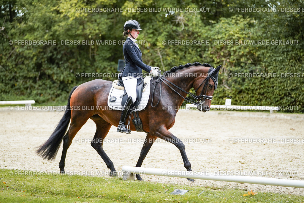 DSC01944 | Pferdegrafie