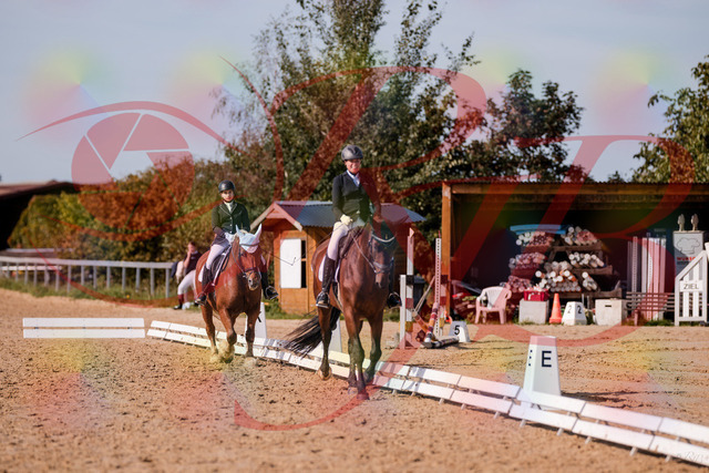 2026_10_03_Siefer-Hof_130245_Z81_57647905 | Professionelle Reitsport-, Turnier- und Eventfotografie von Robert Broda. Galerien mit ausgewählten und bearbeiteten Bildern direkt online ansehen und bestellen.