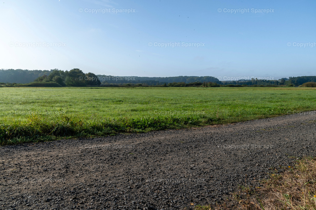 LOC_Trail_Summer_Meadow4 | sparepix - Realisiert mit Pictrs.com