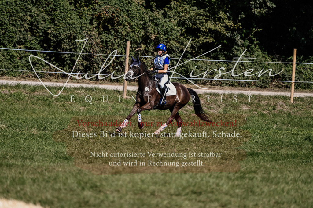 DSC_1678 | Pferde- und Turnierfotografie in Westsachsen. Pferdeportraits, Auftragszeichnungen und intuitive Kunst.