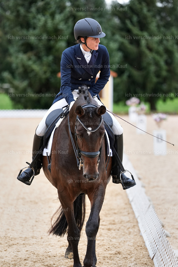 8_1-087-Klasse S_  -StoibPH-3843 | working equitationturnier fotograf videograf stoibphotography marixx film working equitation deutschland reitsport turnierfotografie eventfotografie equestrian events