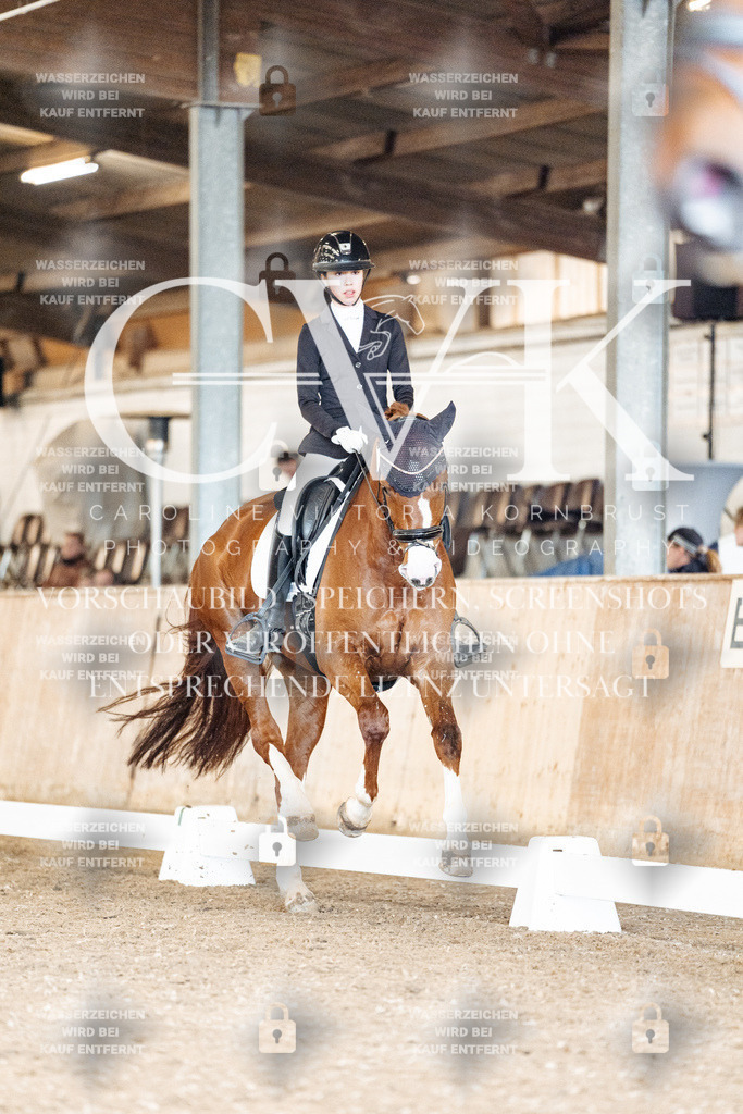 CK901307 | Turnierfotografie Pferdefotografie Trier Rheinland-Pfalz Pferdesport Reitsport Tierfotografie Sportfotografie Pferdevideo Pferdevideografie Equestrianvideography equestrianphotography  - Realisiert mit Pictrs.com