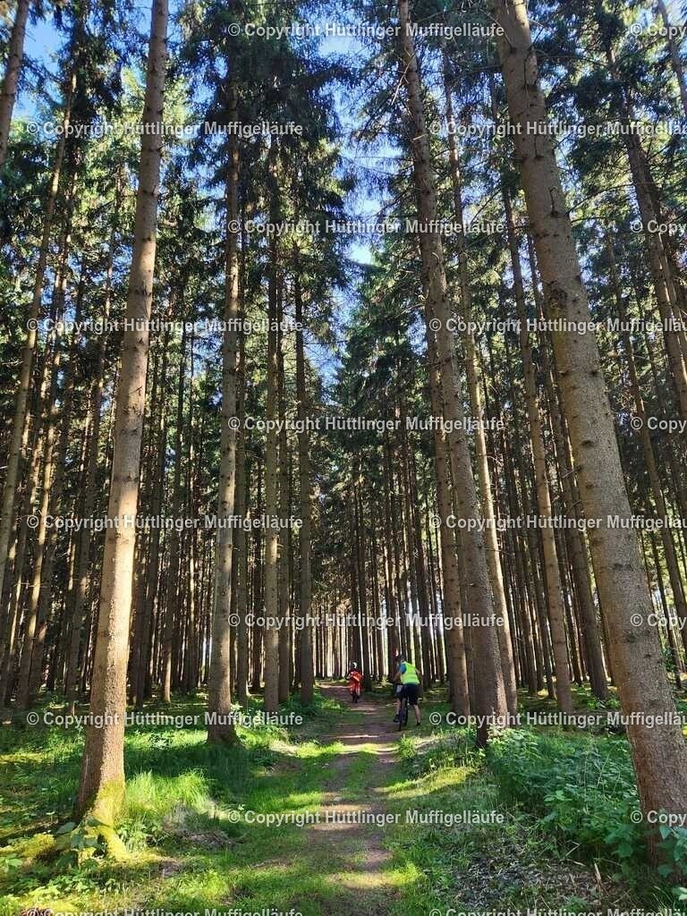 IMG-20250622-WA0318 | Hüttlinger Muffigelläufe - Realisiert mit Pictrs.com