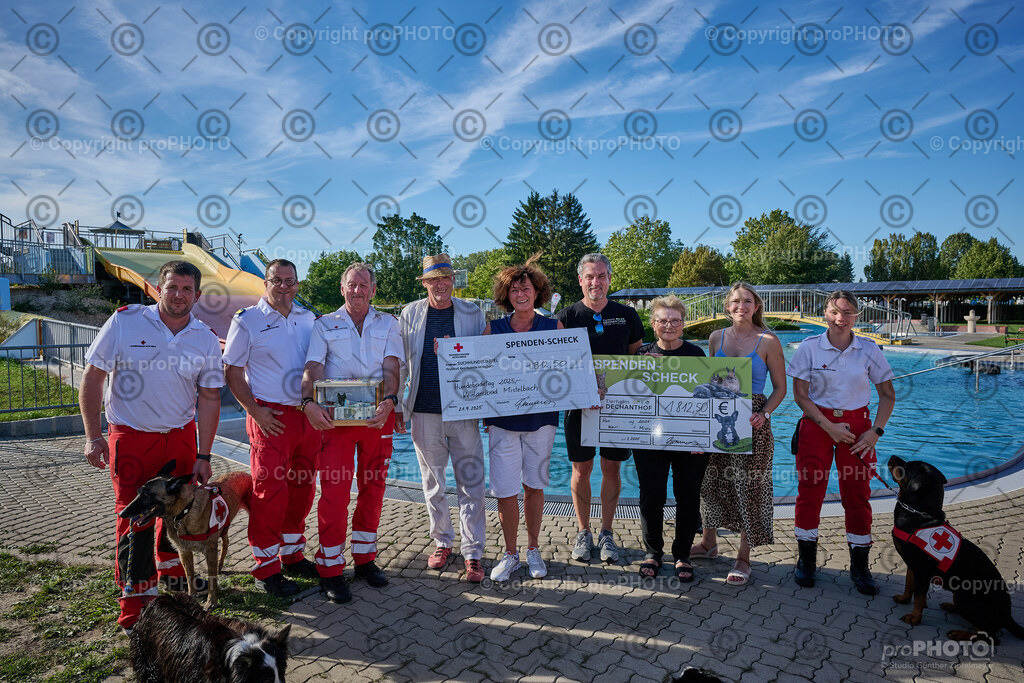 251_202509_4Hundebadetag_NZ9_3021 | proPHOTO - Realisiert mit Pictrs.com