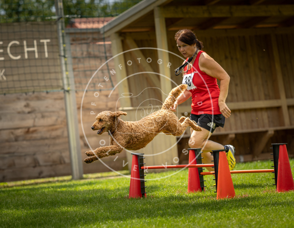 Pfotenfotografie_DV3A3676 | Hundefotografie, Tierfotograf, Pfotenfotografie, Fotoshooting Hund, Hunde Portrait, Hundesport, Hundeportraits, Heideshooting, Hunde, Sportfotograf, Hundefotograf, Turnierhundsport, THS,  - Realisiert mit Pictrs.com