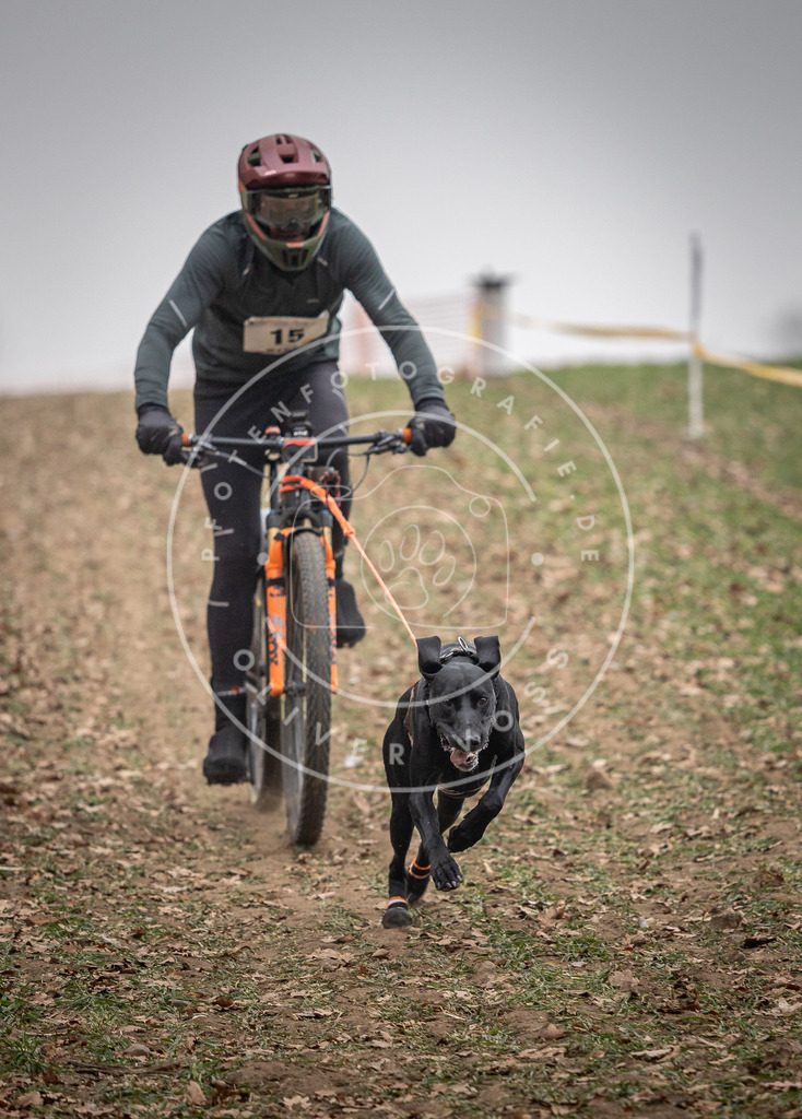 Pfotenfotografie_DV3A2396 | Hundefotografie, Tierfotograf, Pfotenfotografie, Fotoshooting Hund, Hunde Portrait, Hundesport, Hundeportraits, Heideshooting, Hunde, Sportfotograf, Hundefotograf, Turnierhundsport, THS,  - Realisiert mit Pictrs.com