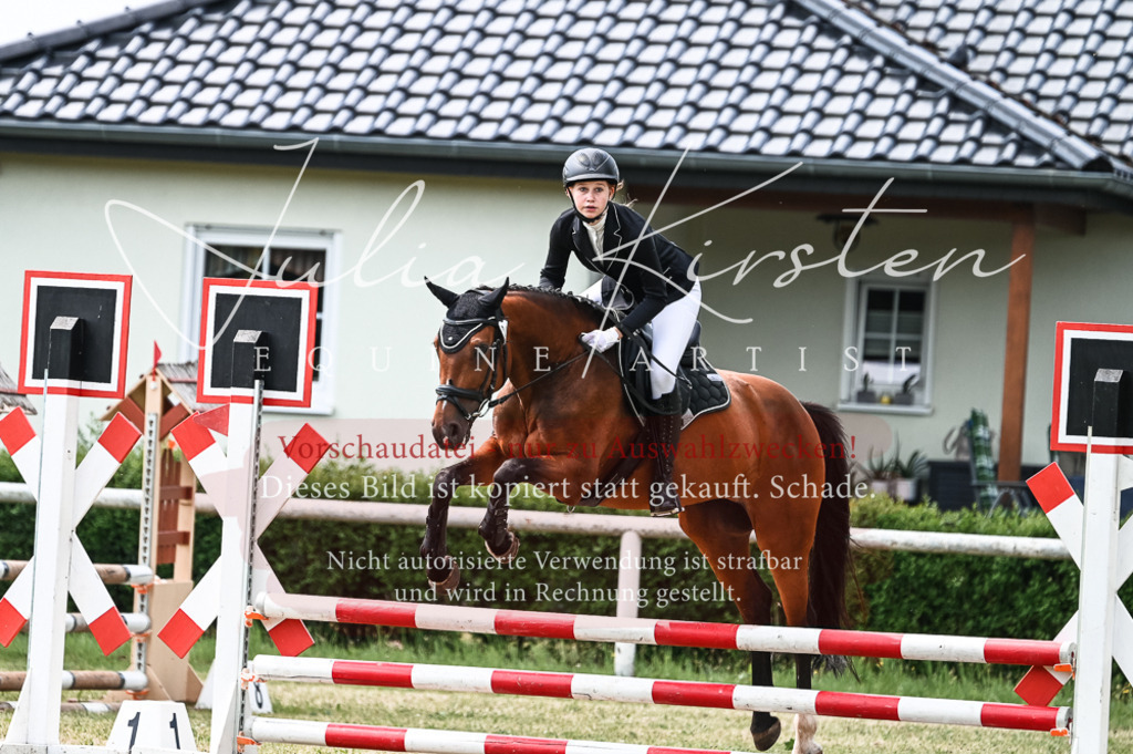 DSC_9012 | Pferde- und Turnierfotografie in Westsachsen. Pferdeportraits, Auftragszeichnungen und intuitive Kunst.