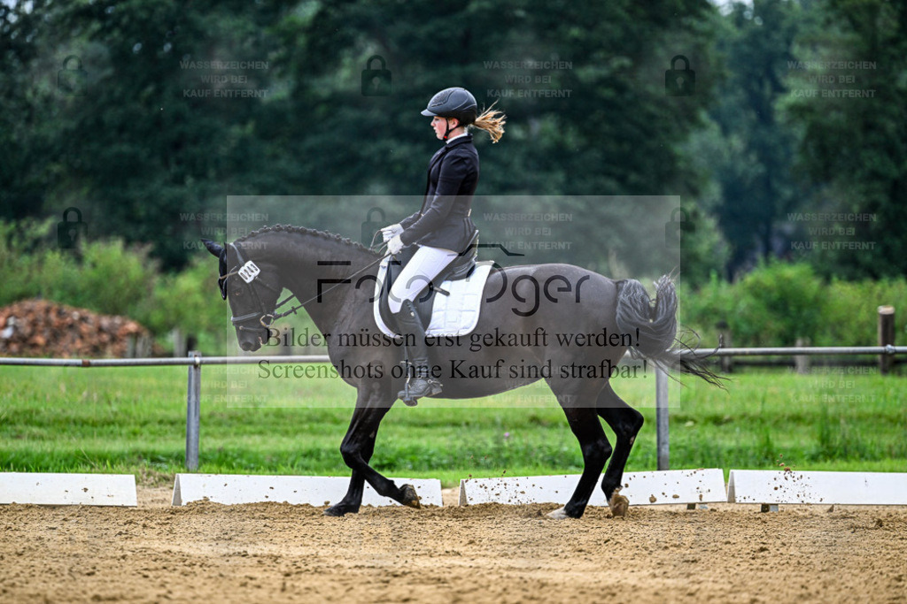 Reitturnier Hasbergen | Entdecke hochwertige Reitturnierfotos von Foto Oger. Professionell, emotional und authentisch – jetzt Lieblingsmomente im Shop bestellen. - Realisiert mit Pictrs.com