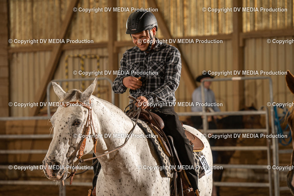 NID02500 | dv-media-shop - Realisiert mit Pictrs.com