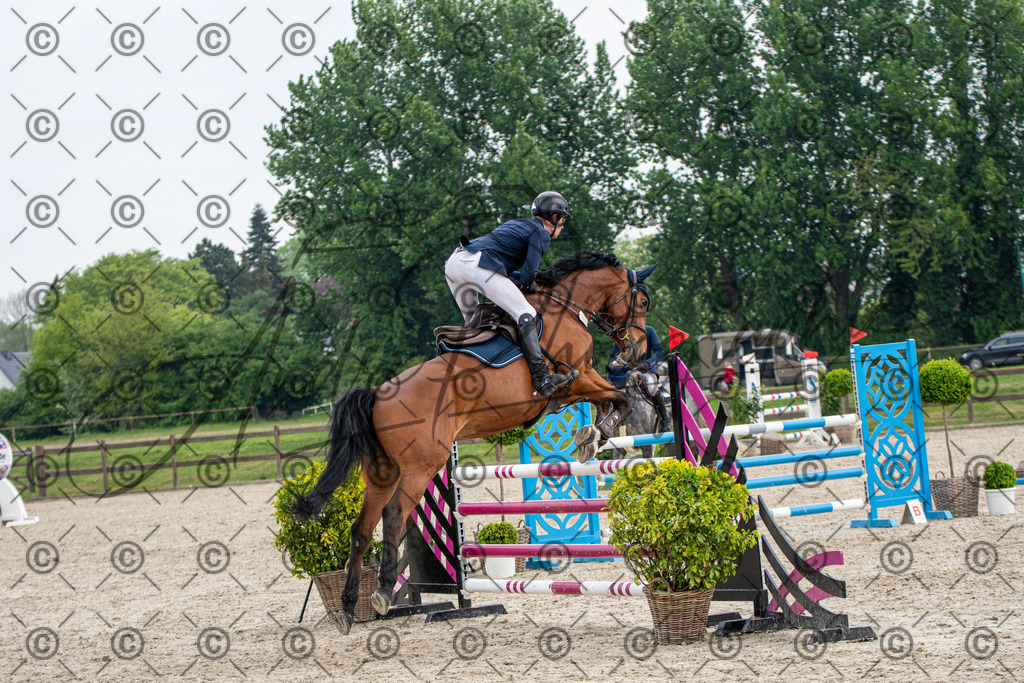 KPT_3728 | andre_photographic