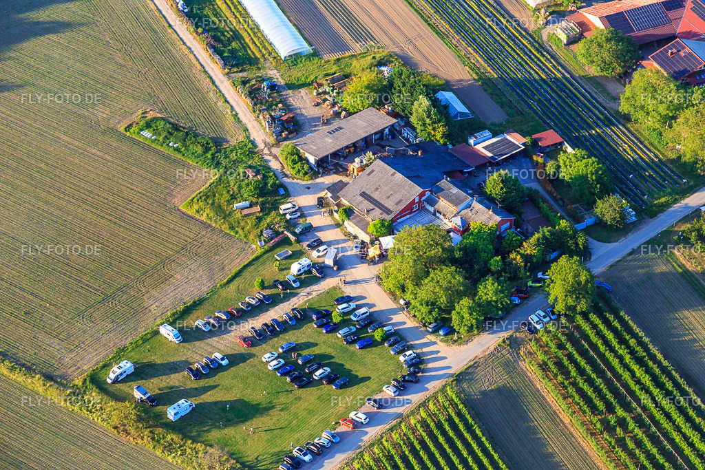 Restaurant Gerhart's Strauße http://www.gerhart-strausse.de/ | Luftbild: Restaurant Gerhart's Strauße http://www.gerhart-strausse.de/ im Ortsteil Jechtingen in Sasbach im Bundesland Baden-Württemberg in Deutschland. Foto: IMG_147903.jpg vom 30.05.2025 durch Werner Riehm/FLY-FOTO.de - Realisiert mit Pictrs.com