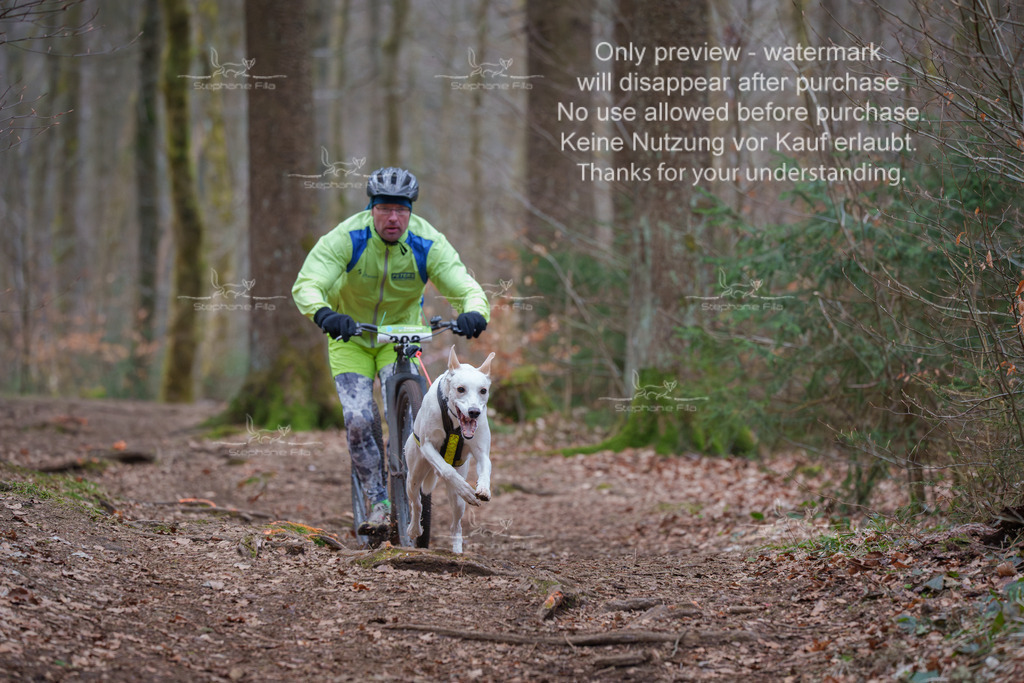 Scooter_So-48 | stephaniefillaphotographie - Realisiert mit Pictrs.com