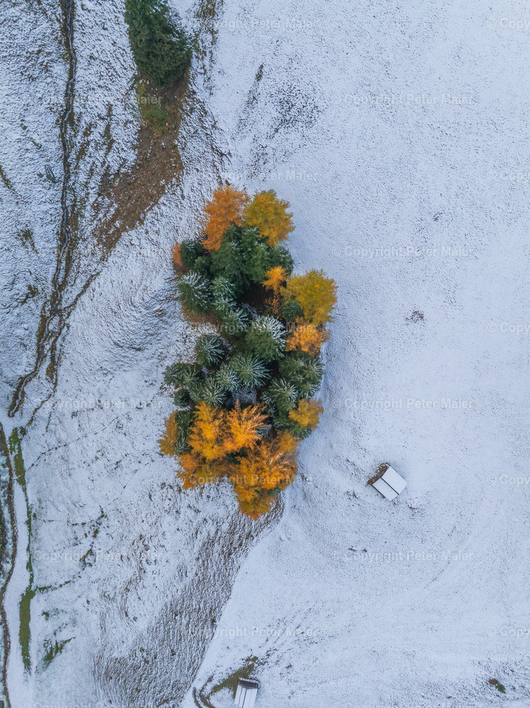 Kamelisenalm_Herbst_Schnee_2023-118 | default