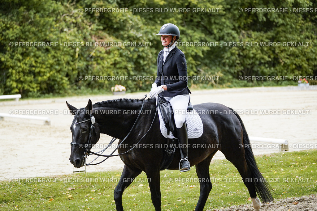 DSC08428 | Pferdegrafie