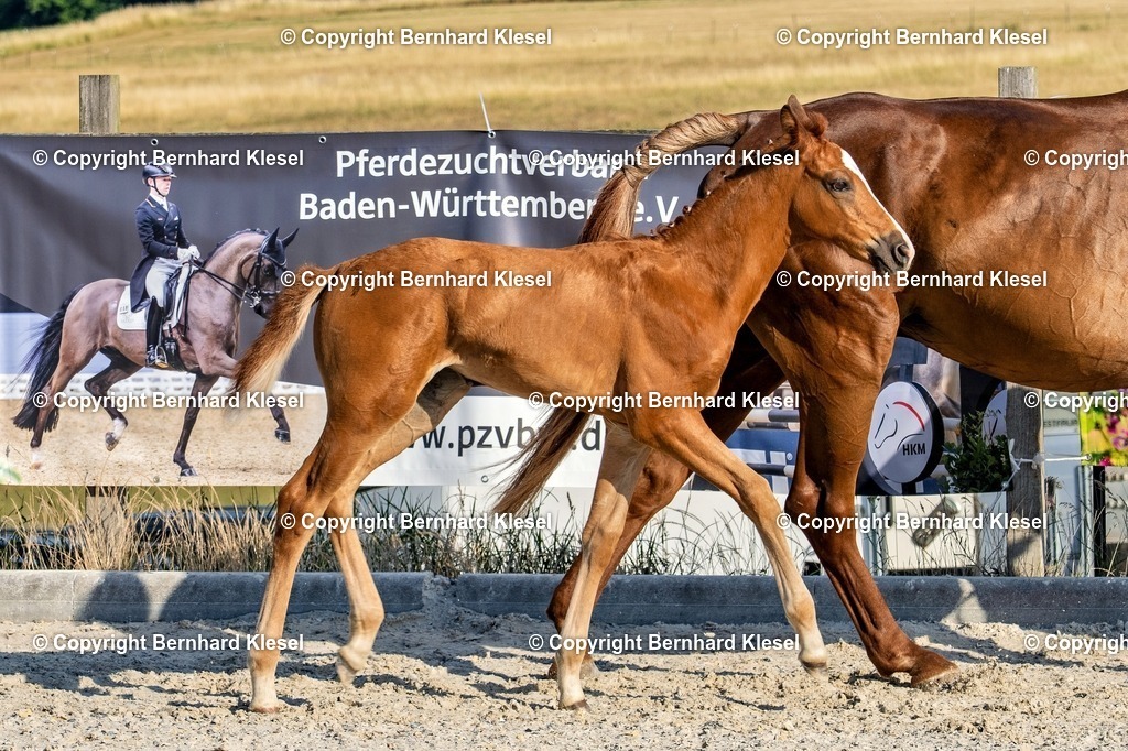 A1S07405 | foto-team-bernhard - Realisiert mit Pictrs.com