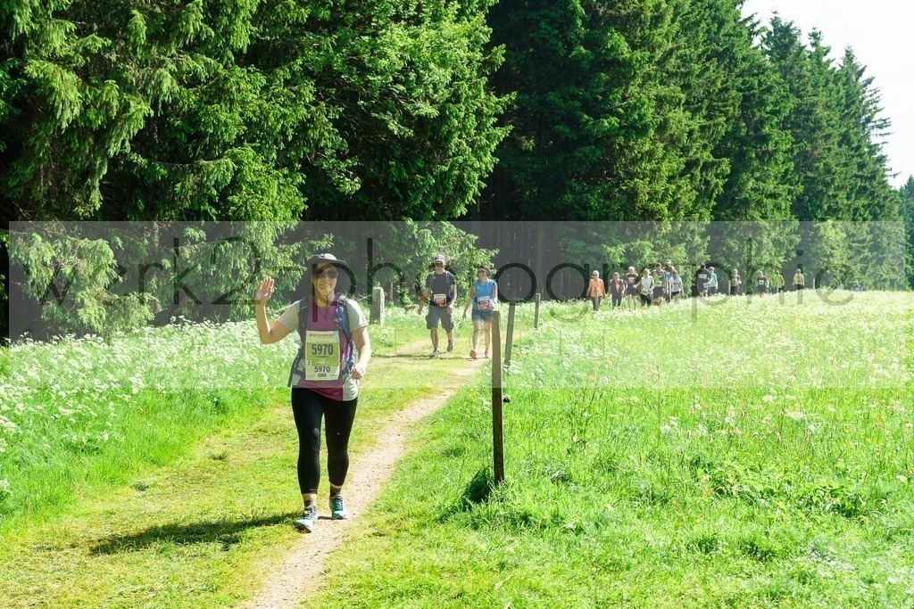 Rennsteiglauf 2018 | Neuhaus/Rwg. - Schmiedefeld am 26. Mai 2018
