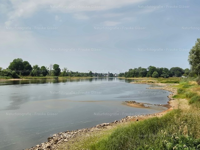 F.Gläser_133306 | Naturfotografie Frauke Gläser - Realisiert mit Pictrs.com