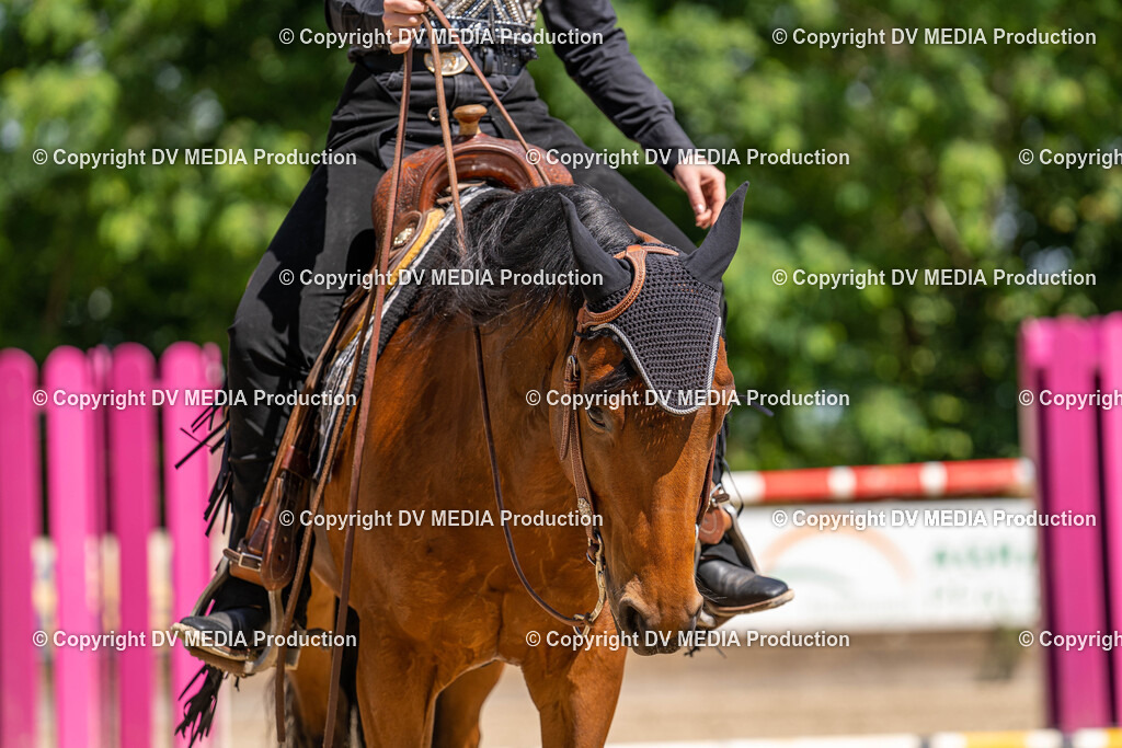 Zeiskam Tag 2-0953 | dv-media-shop - Realisiert mit Pictrs.com