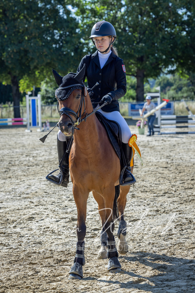 20260704-_3LI7368 | Tierfotografie Pferde, Hunde, Katzen, Haustiere.
Turnierfotografie Reitturniere, Reiten, Springreiten, Dressur in Hanau, dem Main-Kinzig-Kreis und dem Rhein-Main- Gebiet um Frankfurt