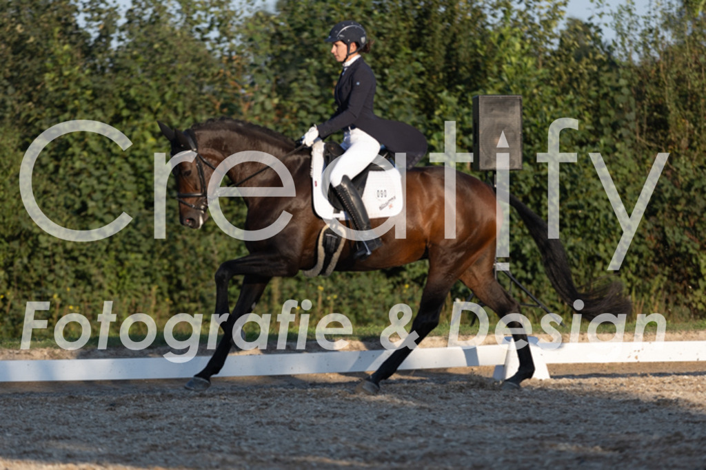 IMG_1544 | Creatify Fotografie