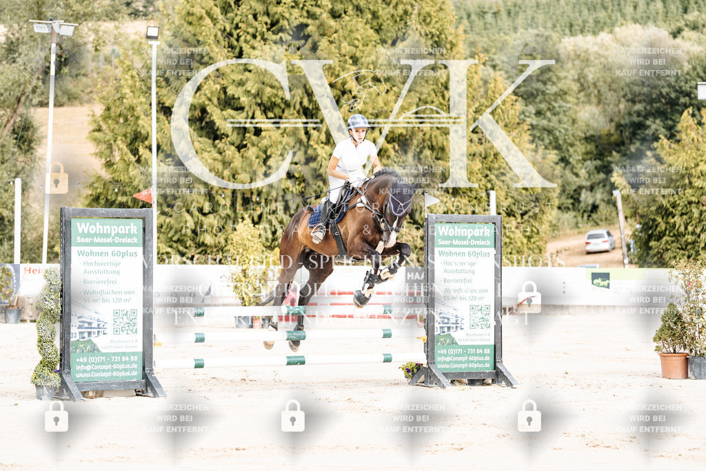 CK908894 | Turnierfotografie Pferdefotografie Trier Rheinland-Pfalz Pferdesport Reitsport Tierfotografie Sportfotografie Pferdevideo Pferdevideografie Equestrianvideography equestrianphotography  - Realisiert mit Pictrs.com