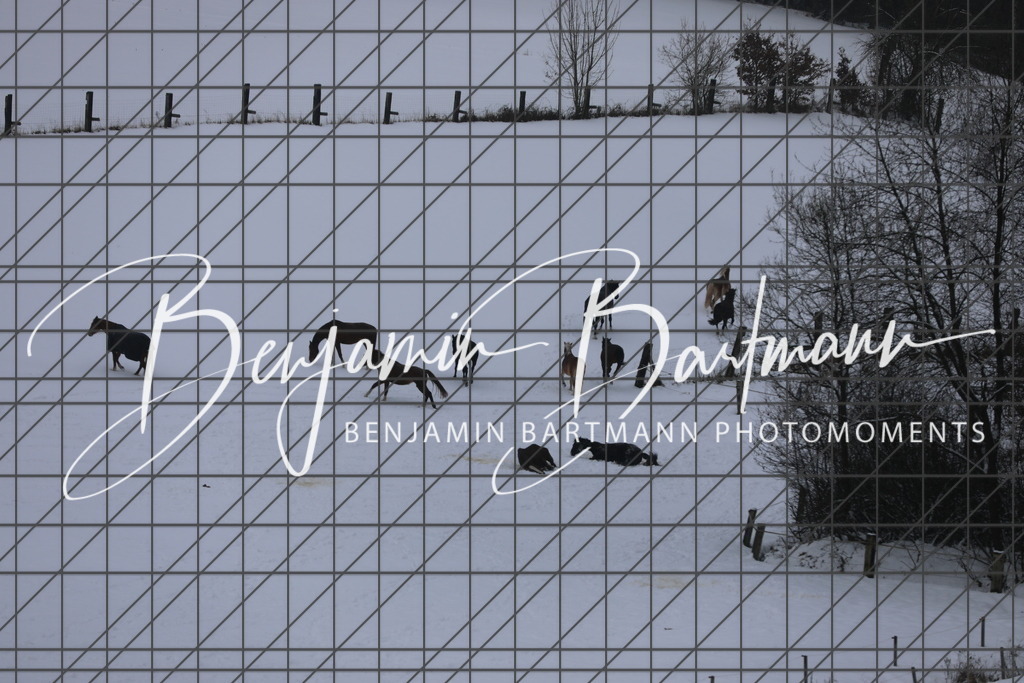 AZ2A3428 | Benjamin Bartmann Photomoments