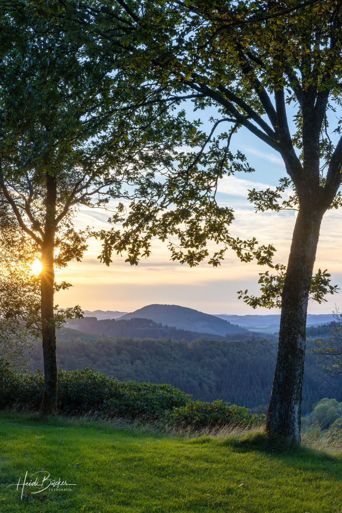 Aussicht auf den Wilzenberg | Aussicht von Döpps Scheune auf den Wilzenberg im Schmallenberger Sauerland - Realisiert mit Pictrs.com