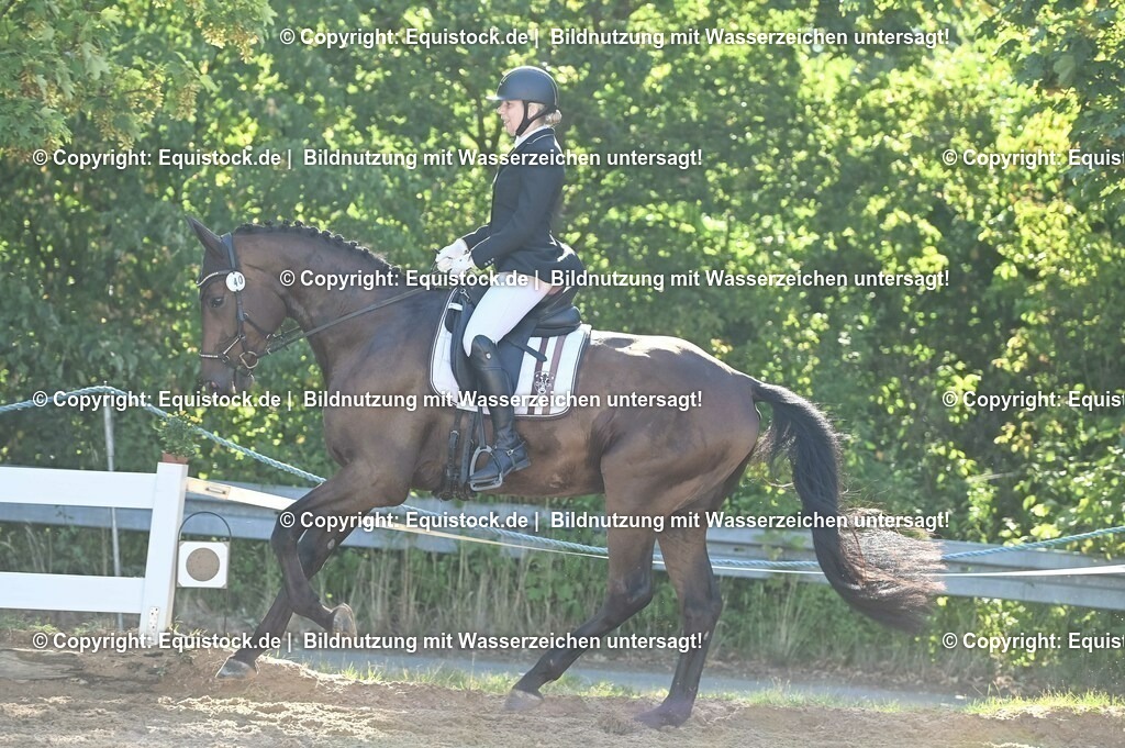 20230715_06_Dressurpferdeprfg. Kl.A_0051 | equistock
