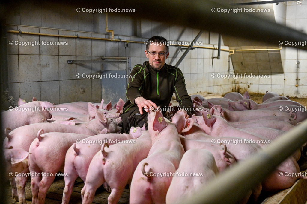 Landwirtschaft_ Schweinebauer_ 07.02.2024-4 | 07.02.2024, Obernberg am Inn, AUT, Landwirtschaft, Schweinebauer, im Bild Thomas Reisecker (Schweinebauer)