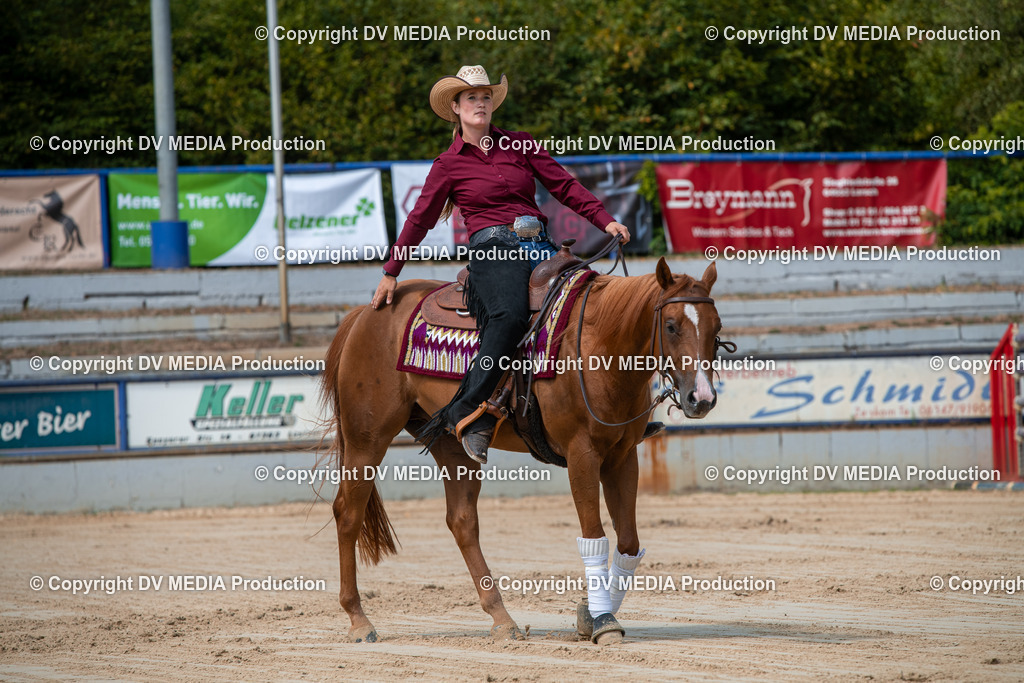 ZS3_9562 | dv-media-shop - Realisiert mit Pictrs.com