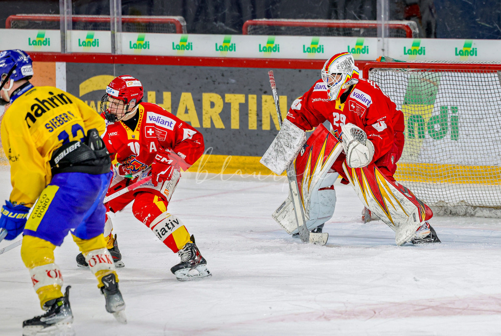 EHCB vs HCD-0890 | Sportbilder, Sportfotograf, Hochzeits- und Eventfotografin, Flugshows, Portraits und Tiershooting, Aviation, Downhill, Nationalleague, Swissleague, International