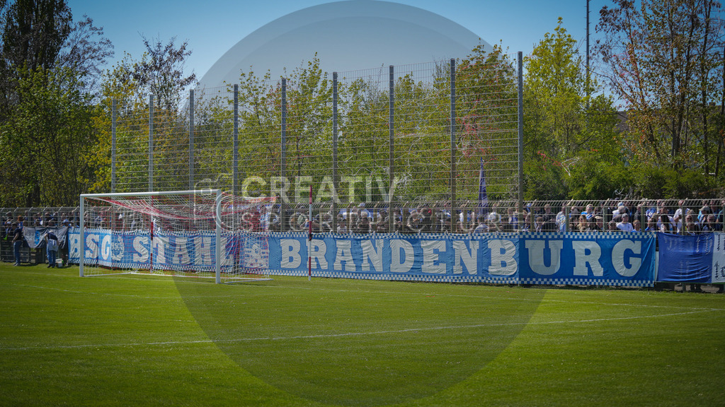 Fußball, Herren, Saison 2025/2026, Brandenburgliga, 23. Spieltag, Brandenburger SC Süd 05 vs. BSG Stahl Brandenburg, Samstag 25.04.2026, Werner-Seelenbinder-Sportplatz Brandenburg an der Havel | Fußball, Herren, Saison 2025/2026, Brandenburgliga, 23. Spieltag, Brandenburger SC Süd 05 vs. BSG Stahl Brandenburg, Samstag 25.04.2026, Werner-Seelenbinder-Sportplatz Brandenburg an der Havel, Im Bild: Ein Blick auf die Fankurve der BSG Stahl Brandenburg - Realisiert mit Pictrs.com