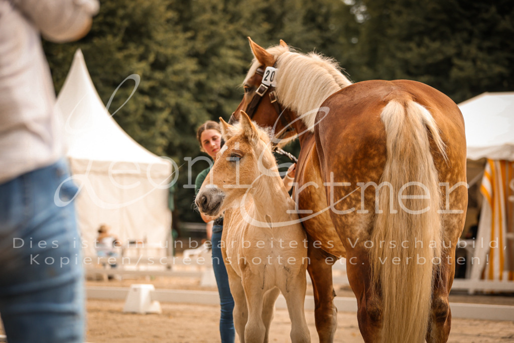 SaSF00004 | Leoni Ertmer Photography - Realisiert mit Pictrs.com