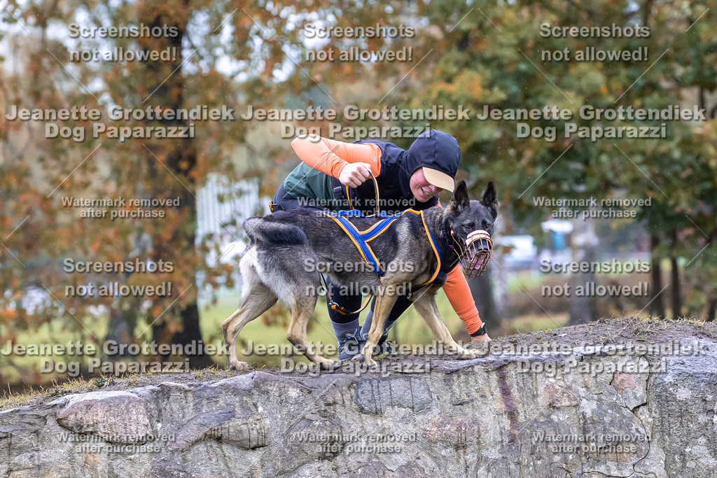 Dog Paparazzi - SD CaniX Championship 2025-847 | Dog Paparazzi Jeanette Grottendiek Fotografie & Videografie - Realisiert mit Pictrs.com