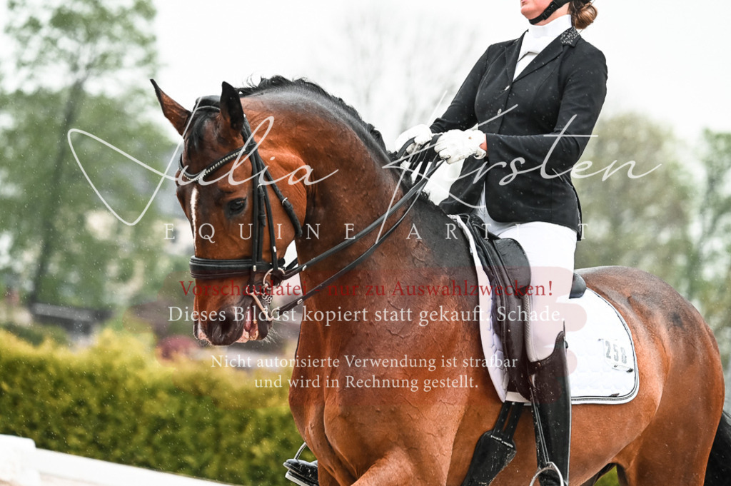 DSC_4578 | Pferde- und Turnierfotografie in Westsachsen. Pferdeportraits, Auftragszeichnungen und intuitive Kunst.