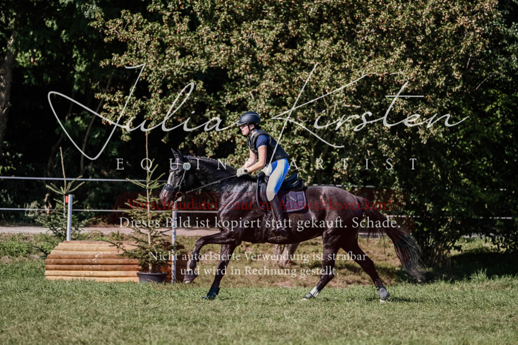 DSC_3571 | Pferde- und Turnierfotografie in Westsachsen. Pferdeportraits, Auftragszeichnungen und intuitive Kunst.