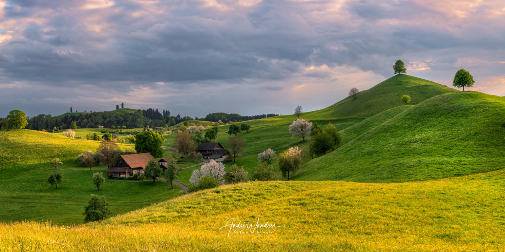 Hügellandschaft im Abendlicht (2:1 Format) | Andre Wandrei - Nature Artworx - Realisiert mit Pictrs.com