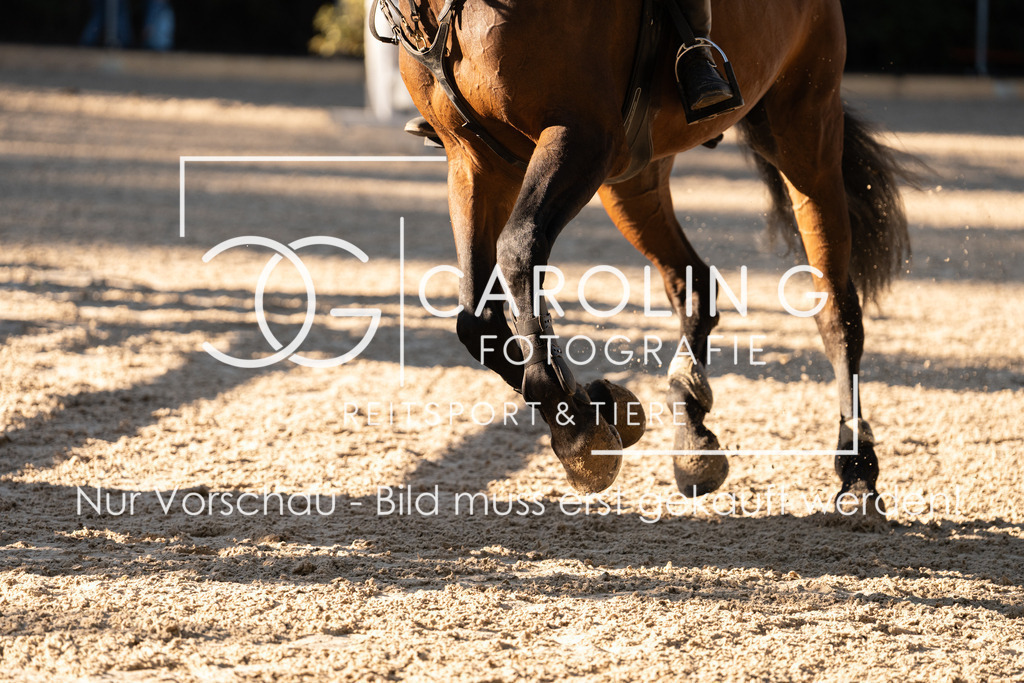 DSC04509 | Carolin Gieschke