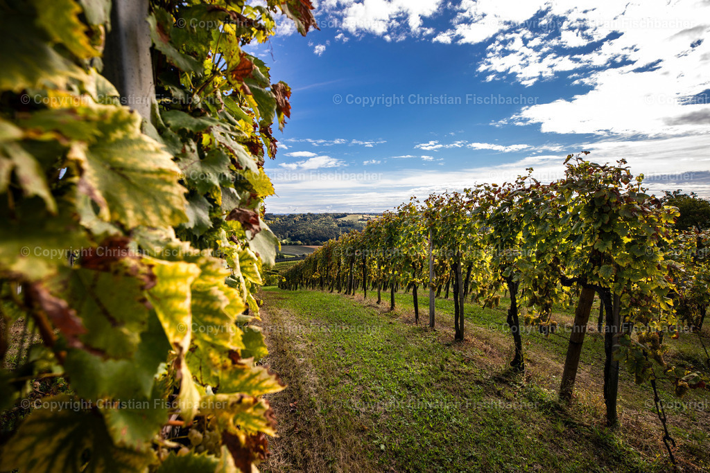 Fotos_Copyright_Chri_Fischbacher_Druck-413 | Bildershop Chri Fischbacher - Realisiert mit Pictrs.com