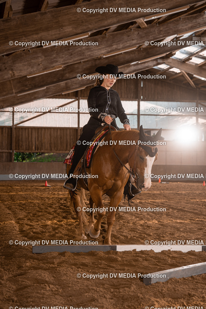 NE101217 | dv-media-shop - Realisiert mit Pictrs.com