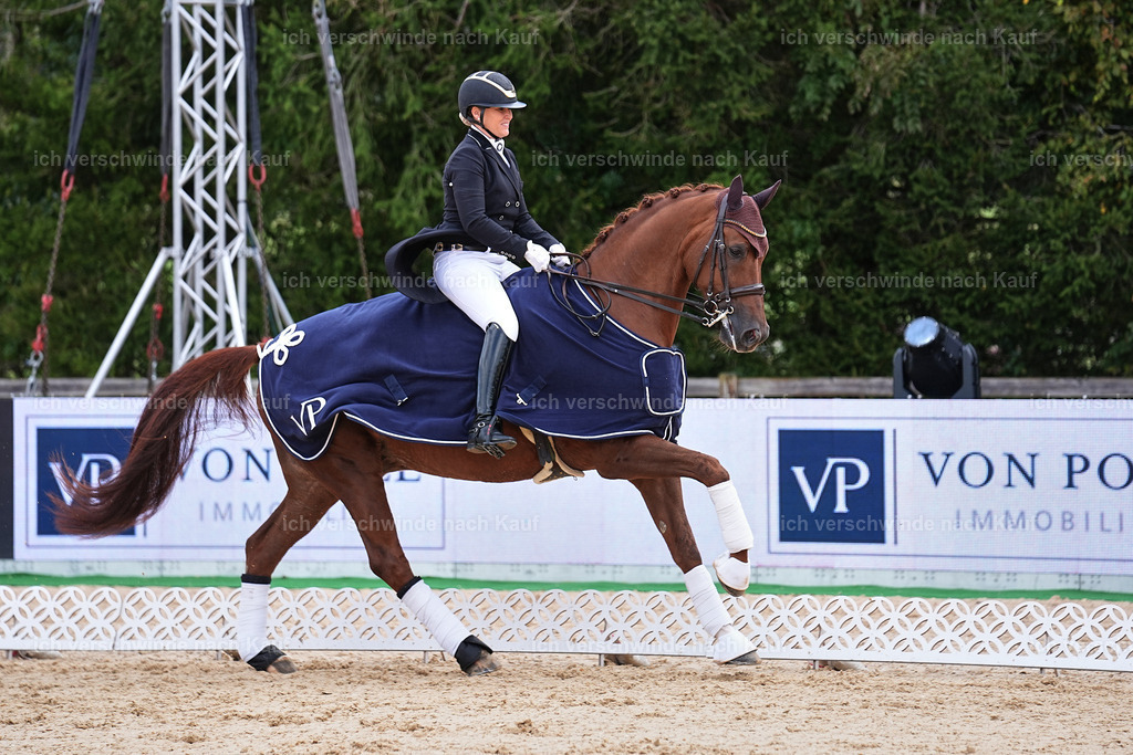 10-Siegerehrung-ST.GEORG SPECIAL -Marixx-3413 | working equitationturnier fotograf videograf stoibphotography marixx film working equitation deutschland reitsport turnierfotografie eventfotografie equestrian events