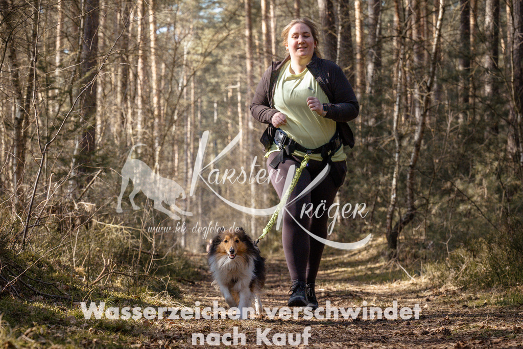 1334_ZZ94721 | kk-dogfotos