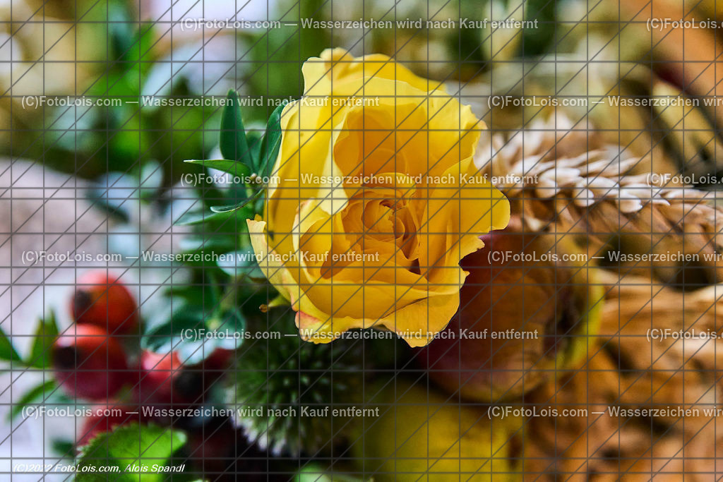 ALP0859_Erntedankfest_Lackenhof-Langau_Dekoration | (C)FotoLois.com, Alois Spandl, ERNTEDANKFEST Lackenhof/Langau im rothschild´schen Glassalon in Langau/Maierhöfen, So 2. Okt. 2022.