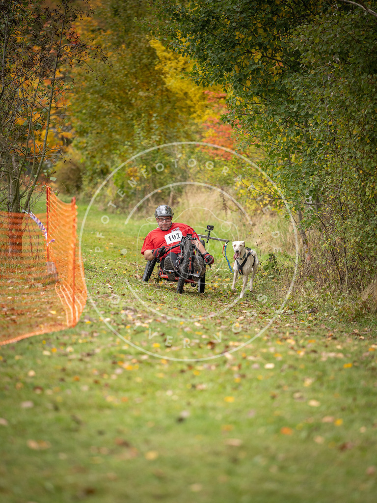 Pfotenfotografie_DV3A3494 | Hundefotografie, Tierfotograf, Pfotenfotografie, Fotoshooting Hund, Hunde Portrait, Hundesport, Hundeportraits, Heideshooting, Hunde, Sportfotograf, Hundefotograf, Turnierhundsport, THS,  - Realisiert mit Pictrs.com