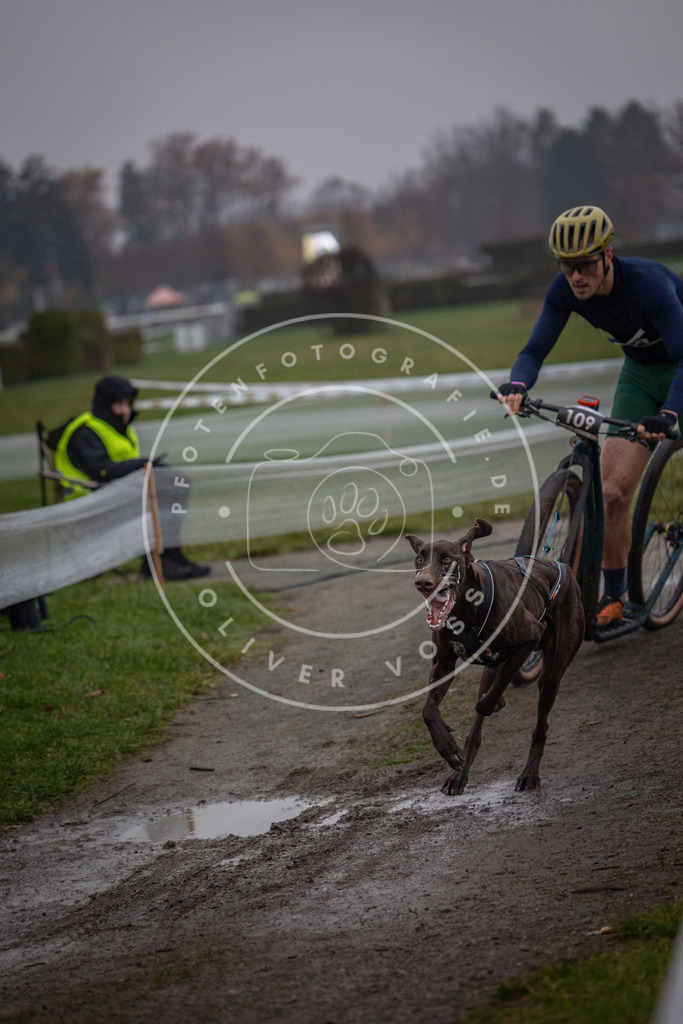 CaniXpix_0L8A0255 | Hundefotografie, Tierfotograf, Pfotenfotografie, Fotoshooting Hund, Hunde Portrait, Hundesport, Hundeportraits, Heideshooting, Hunde, Sportfotograf, Hundefotograf, Turnierhundsport, THS,  - Realisiert mit Pictrs.com
