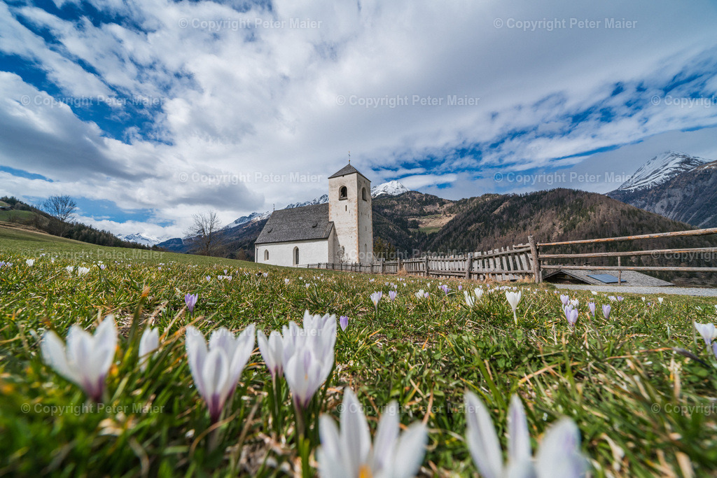 A7R02431 | piet_flosse