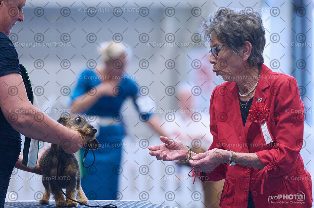 202406_ÖKV-IHA-Tulln24_DSC_4448 | proPHOTO - Realisiert mit Pictrs.com