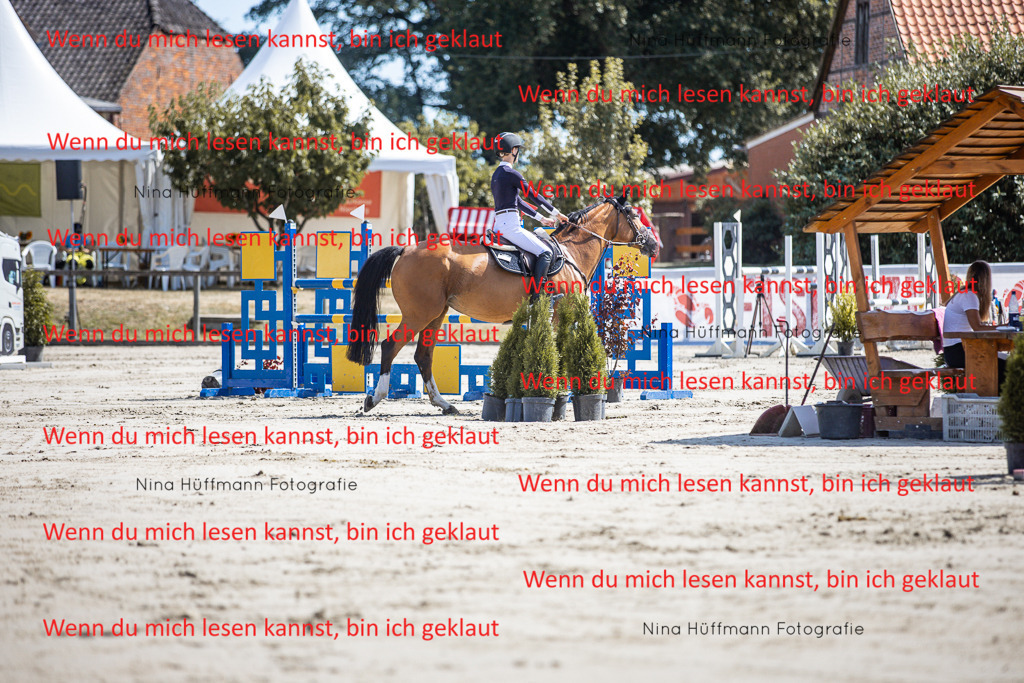 BK1A6578 | Turnierbilder Turnierfotos Nina Hüffmann Turnierfotografie Pferdefotografie Tierzeichnung Haustierzeichnung Pferdezeichnung Hundezeichnung Videograf  - Realisiert mit Pictrs.com
