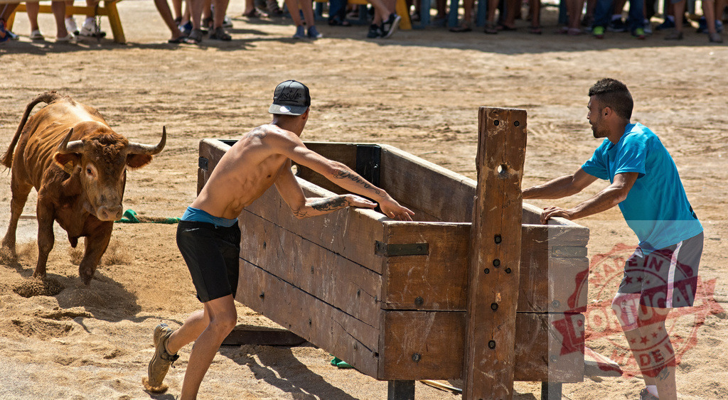 Men running from a bull during a traditional festival | Two men navigating a wooden barrier while a bull charges in the arena - Realized with Pictrs.com